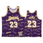 Camiseta Los Angeles Lakers Lebron James NO 23 Hardwood Classics Tear Up Pack Violeta