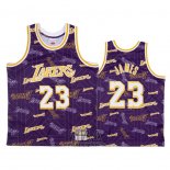 Camiseta Los Angeles Lakers Lebron James NO 23 Hardwood Classics Tear Up Pack Violeta