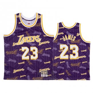 Camiseta Los Angeles Lakers Lebron James NO 23 Hardwood Classics Tear Up Pack Violeta